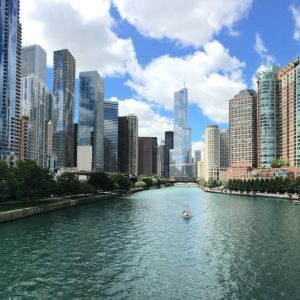 Botox and Dermal Filler Training Chicago